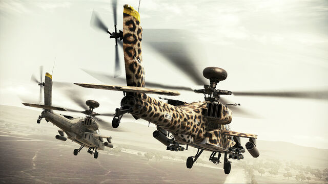 File:LEOPARD PATTERN III.jpg