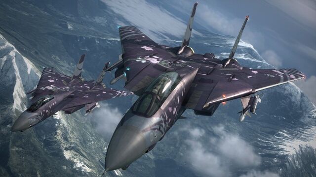File:F-14D ZIPANG.jpg
