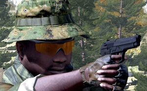 Pistolas 01.jpg