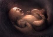 Cleptsii baby