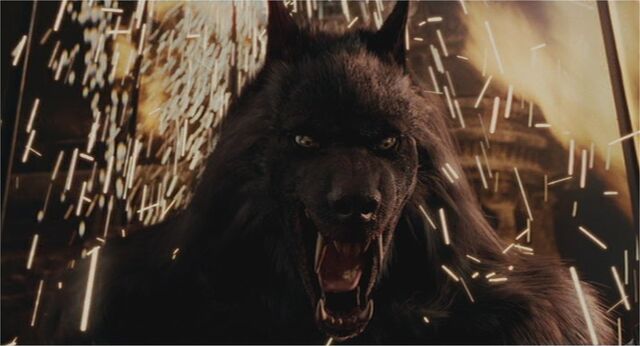 File:Aiden WolfForm2.jpg