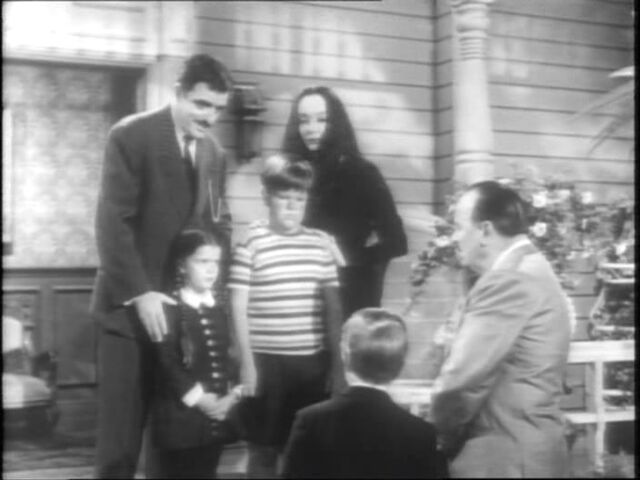 File:05.The.Addams.Family.Tree 040.jpg