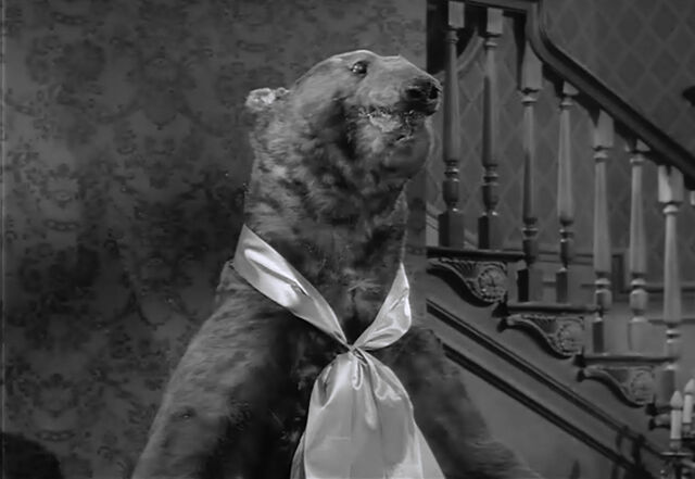 File:Af bear 4 policy.jpg