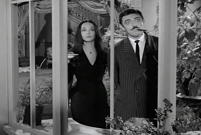 File:Af conservatory neighbors.jpg