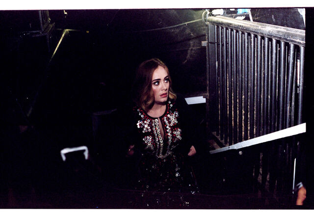 File:Waespi glastonbury 29.jpg