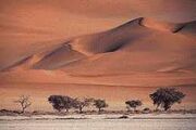 Desert