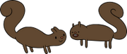 Squirrels