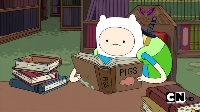 File:S2e15 Finn reading.png