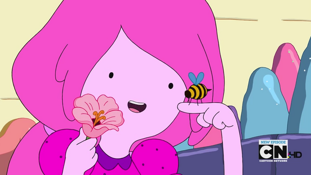 File:Untitled-1.png