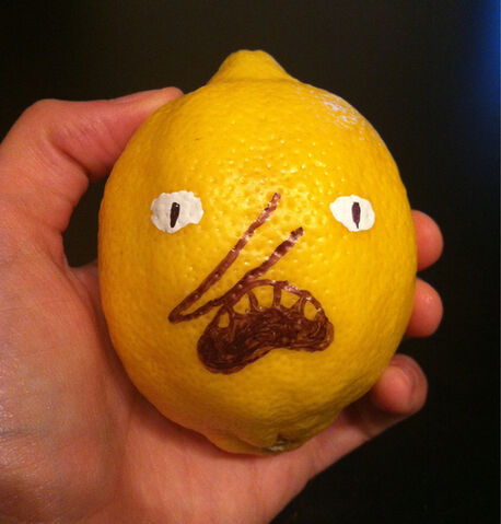 File:Tumblr mb640oLlGU1qlxd9lo1 500.jpg