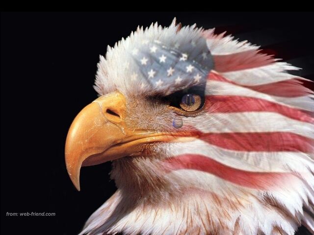 File:American-eagle-flag.jpg