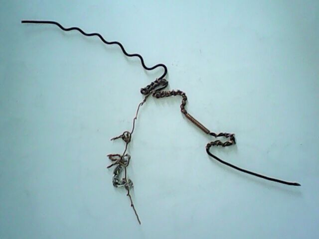 File:IMG 20130106 075203.jpg