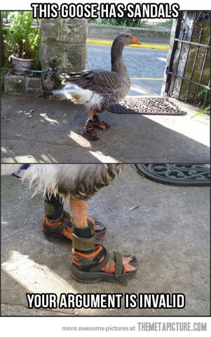 File:Funny-swan-sandals-foot.jpg