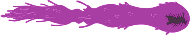 File:Spirit -2.png