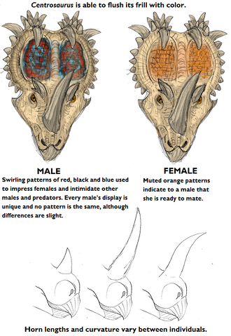 File:Centrosaurus.png