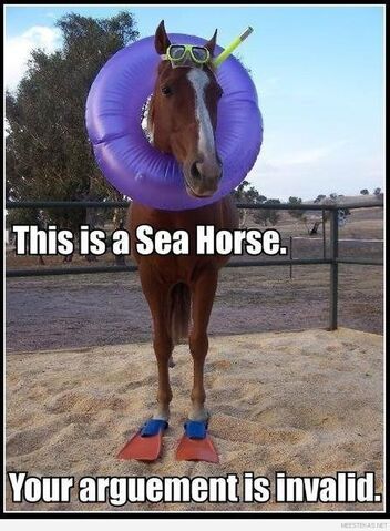 File:Seahorseinvalid.jpg
