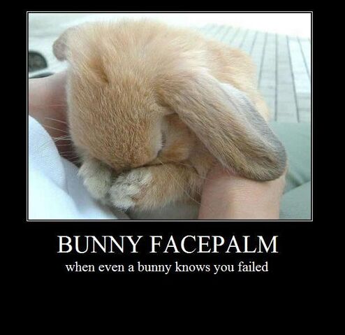 File:Bunny facepalm by shlj23-d4s3yaj.jpg