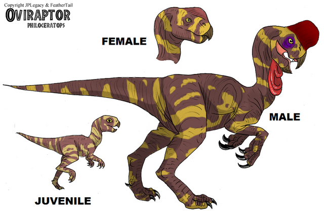 File:Oviraptor.png