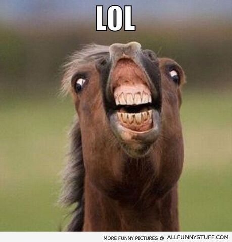 File:Funny-horse.jpg