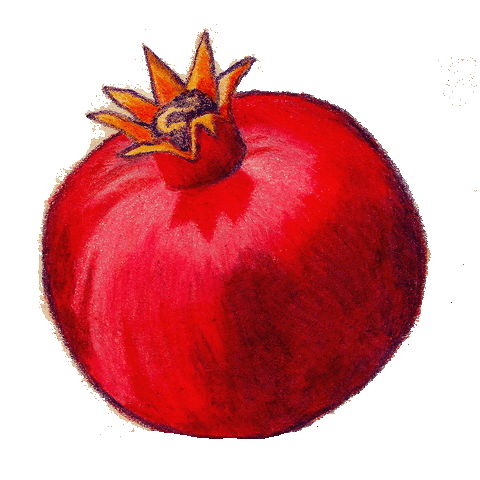File:KPEmote.gif