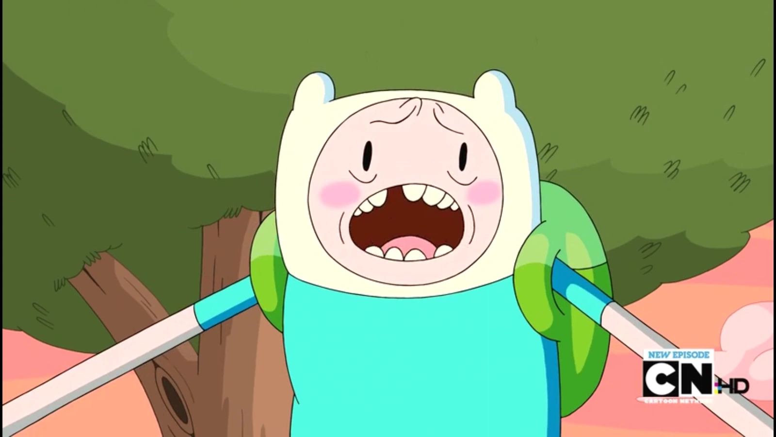 Image S4e16 Finn admitting his love for PB.png Adventure Time Wiki