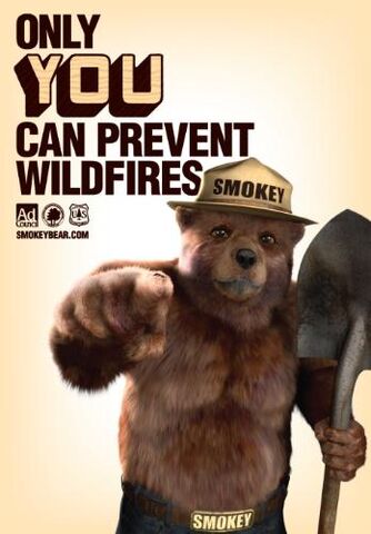 File:Smokeybear.jpg