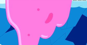 Pbstuff