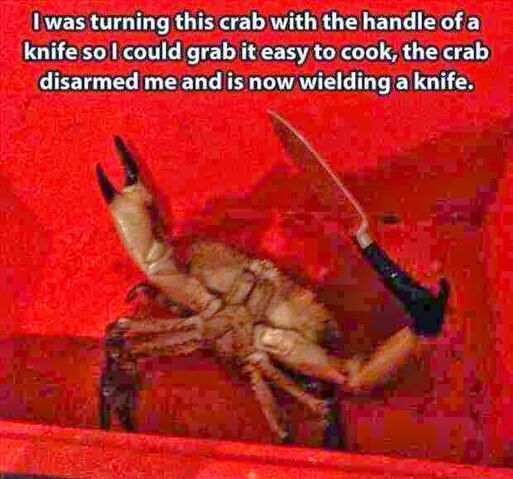 File:Knife.jpg