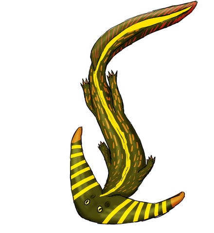 File:Diplocalus.png