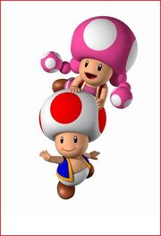 Toad & Toadette