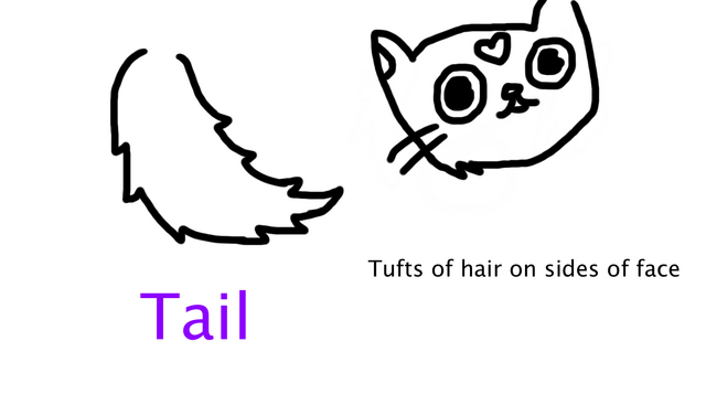 File:KittenPatterns1.png