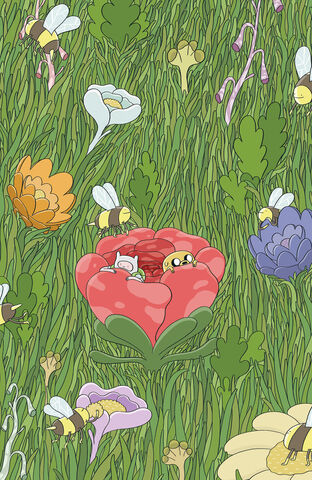 File:ADVENTURE-TIME-27-Cover-C-by-Tom-Hunter-666x1024.jpg