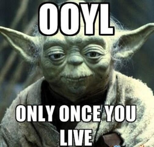 File:OOYL-Yoda-Meme.jpg