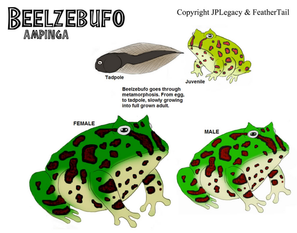 File:Beelzebufo.png