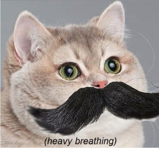 why is my breathing heavy image heavybreathing png adventure time wiki fandom powered by wikia why is my breathing heavy image heavybreathing png adventure time wiki fandom powered by wikia