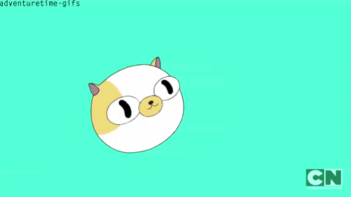 Image - Cake the cat.gif | Adventure Time Wiki | FANDOM powered by Wikia
