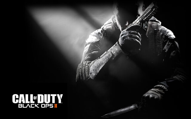 File:Call of duty black ops 2-wide.jpg