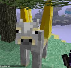 File:Cow.jpeg
