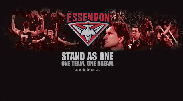 File:Essendon wallpaper 3.jpg