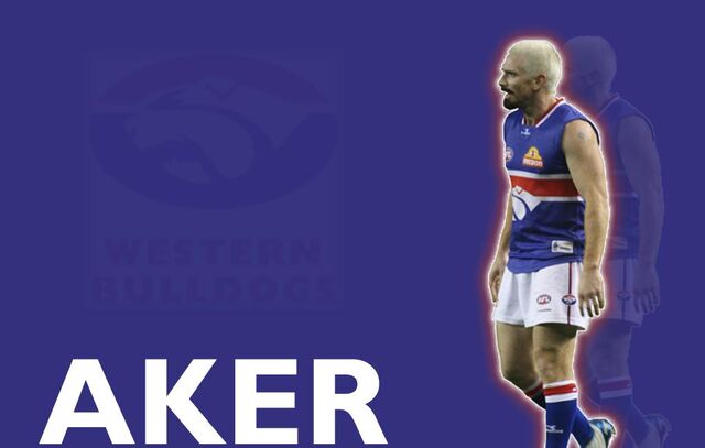 File:Western Bulldogs wallpaper 3b.jpg