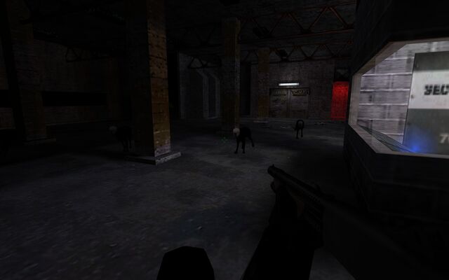 File:Blackdog3.jpg