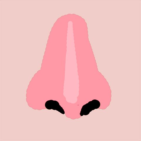 File:Agario nose.png