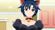 Kitty Karen