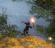 Ninjaa