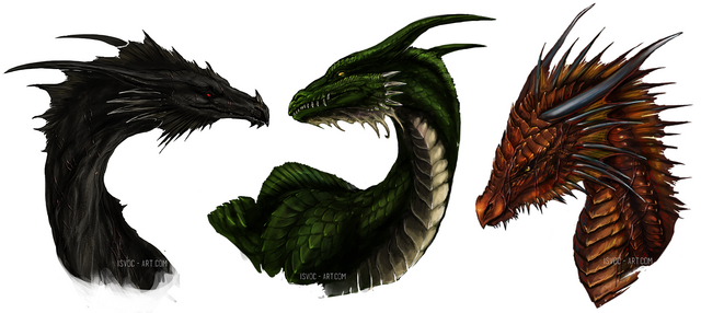 File:Age of fire dragon trio by isvoc-d7zqvk5.png