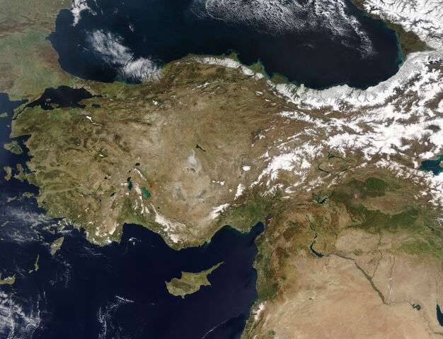 File:Turkey.jpg