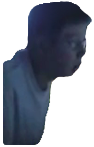 File:Leopold-UsefulVideos-Sprite.png