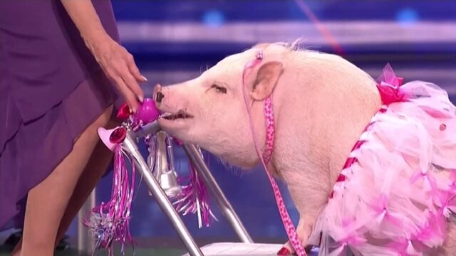 File:Smoochpiggy.jpg