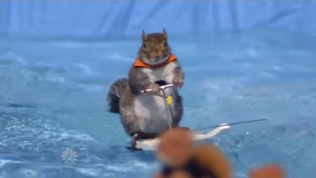 File:Twiggythewaterskiingsquirrel.jpg