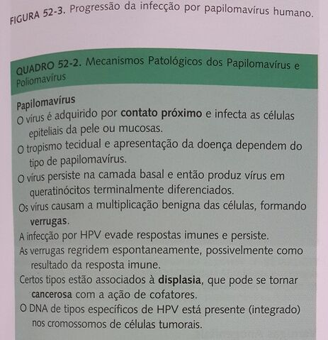 Arquivo:20131005 135425.jpg